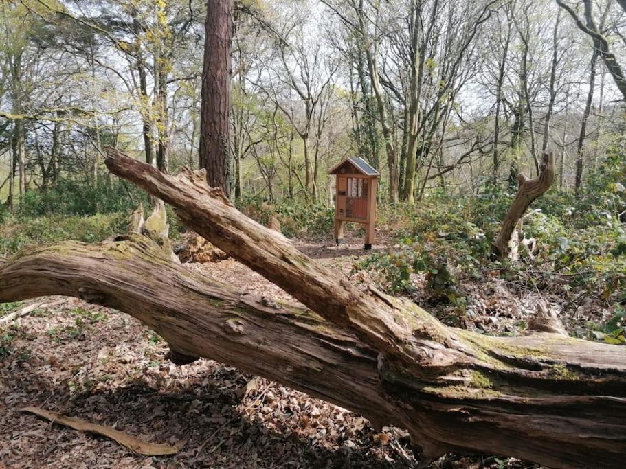 Pebble Cottage Uny Lelant Екстер'єр фото